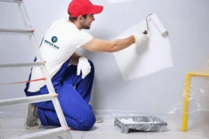 2 Room Painting Estimate Service