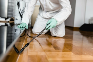 Ant Control Service Banner