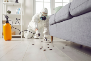 Apartment Cockroach Control Services