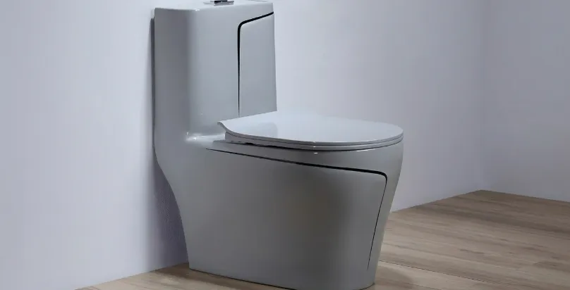Floor-Mounted Toilet Repair
