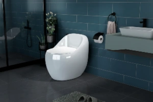 Bathroom Cleaning Service