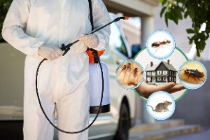 Commercial Pest Control AMC Service