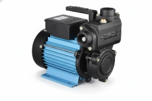 Water Tank and Pump Repair